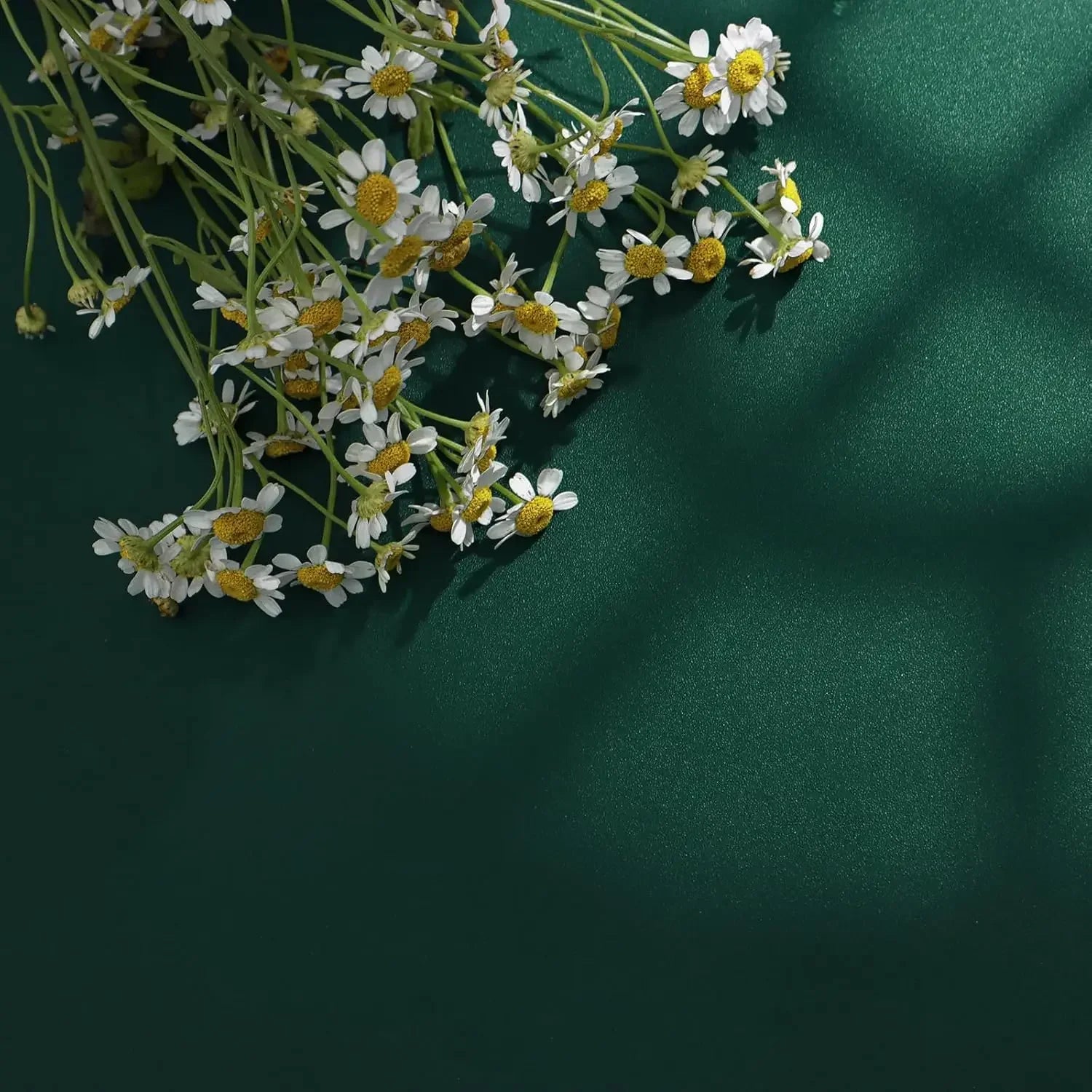 Adhesive Décor Film