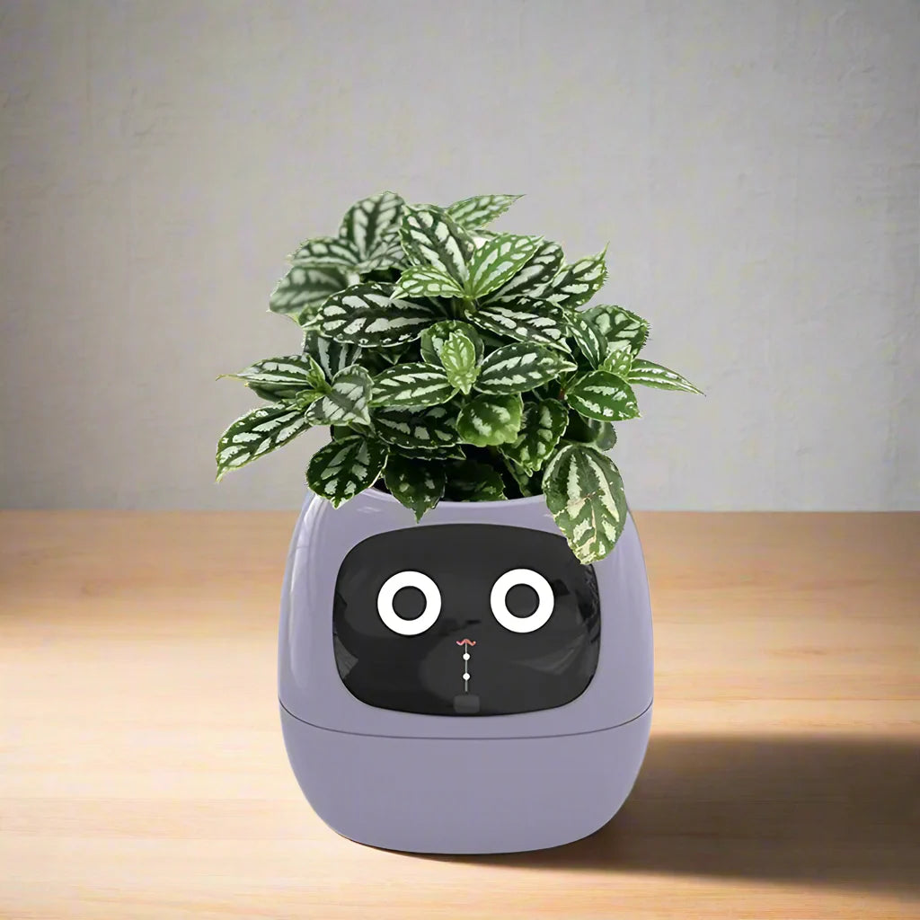 Smart Flowerpots